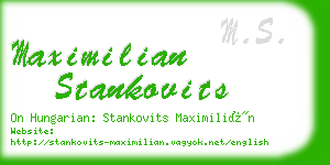 maximilian stankovits business card